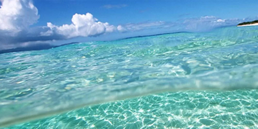 Technical Partnership-1.jpg